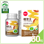 葡萄王樟芝王菌絲體膠囊