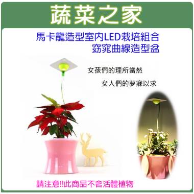 蔬菜之家004 J12 馬卡龍造型室內節能led栽培組合 窈窕曲線造型盆 不含作物 蔬菜之家 I郵購 Postmall