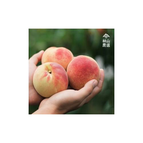 林山農選 預購 6粒禮盒裝 梨山精品a級水蜜桃 大粒裝 看見太陽 看見 太陽 I郵購 Postmall