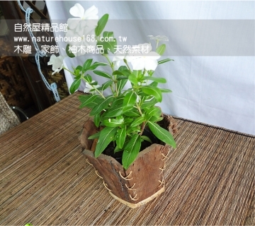 【自然屋精品】天然手工樹皮花盆，自然風樹皮花盆， 峇里島風樹皮花盆~圓形