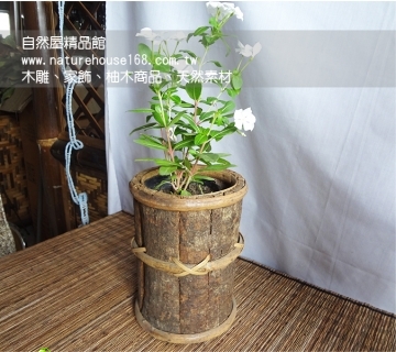 【自然屋精品】天然手工樹皮花盆，自然風樹皮花盆， 峇里島風樹皮花盆~圓柱形