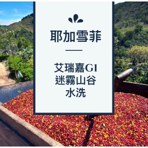 黑果咖啡 精品咖啡豆系列 衣索匹亞艾瑞嘉G1迷霧山谷水洗 450g