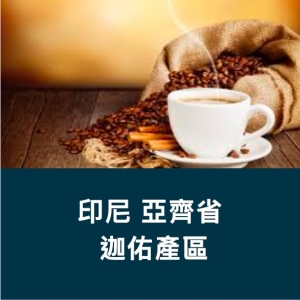 印尼 亞齊省 迦佑產區 450g