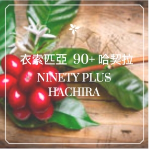 衣索匹亞 90+哈契拉 N2