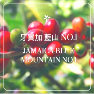 牙買加 藍山 NO.1