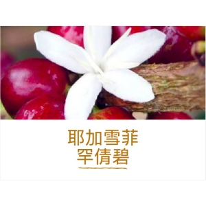 黑果咖啡 精品咖啡豆系列 衣索比亞 耶加雪菲 罕倩碧一磅450g
