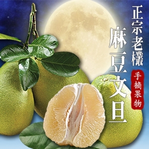 【果味仙】正宗麻豆文旦10斤裝禮盒(7~10個)非預購可立即出貨 i郵箱可，物超所值方案