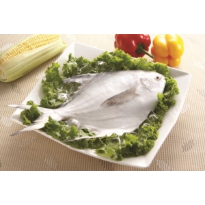 SGS檢驗 白鯧(600g/尾)