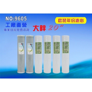 【七星淨水】20英吋大胖水塔過濾器專用一年份濾心.水族館.淨水器.RO純水機.濾水器.軟水器(貨號9605)
