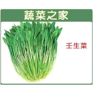 A38.壬生菜種子
