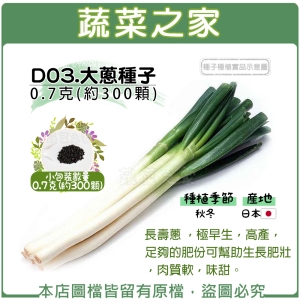 D03.大蔥種子0.7克(約300顆)