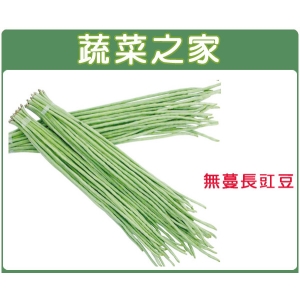 E10.無蔓長豇豆(矮性菜豆)種子