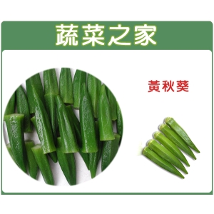 G10.黃秋葵種子50顆(品種：翠香)