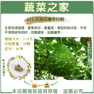 G13.花匏瓜種子10顆