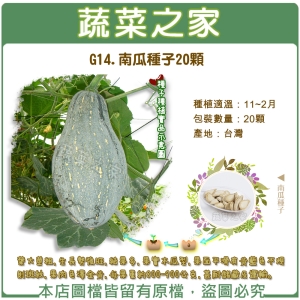 G14.南瓜種子20顆