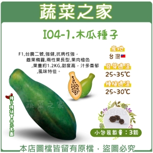 I04-1.木瓜種子3顆