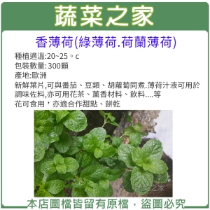 【蔬菜之家】K10.香薄荷(綠薄荷.荷蘭薄荷)種子300顆