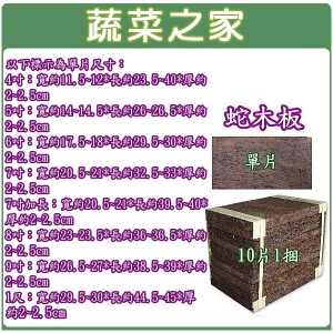 【蔬菜之家001-A110 】7吋蛇木板10片/捆
