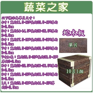 9吋蛇木板10片/捆