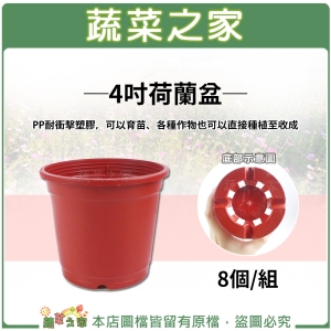 4吋荷蘭盆、栽培盆 8個/組