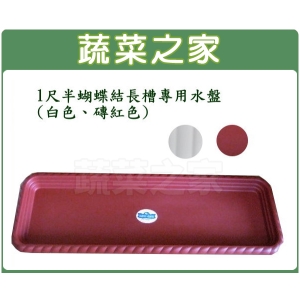 【蔬菜之家015-F40】1尺半蝴蝶結長槽專用水盤(白色、磚紅色)