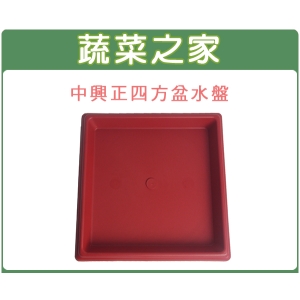 忠興1尺正四方盆專用水盤磚紅色