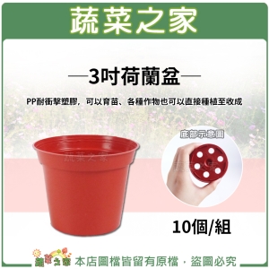 3吋荷蘭盆、栽培盆10個/組
