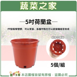 5吋荷蘭盆、栽培盆5個/組