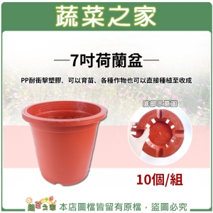 7吋荷蘭盆、栽培盆10個/組