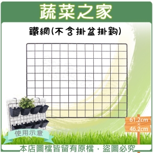 鐵網(不含掛盆掛鉤)