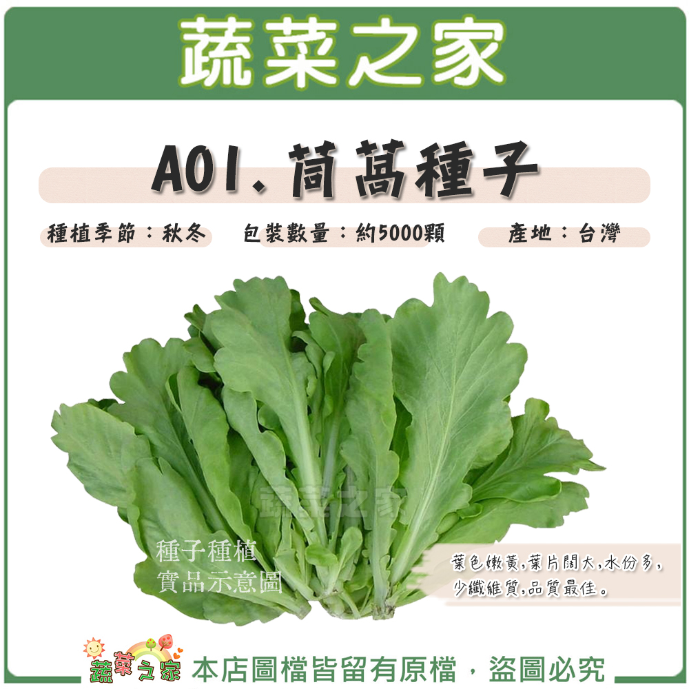 大包裝A01.茼蒿種子210克(約8萬顆)
