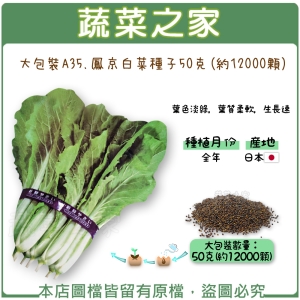大包裝A35.鳳京白菜種子50克