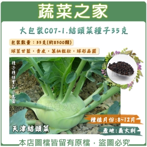 【蔬菜之家00C07-1】大包裝.結頭菜種子35克(約8500顆)