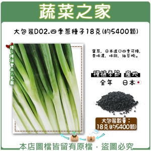 大包裝D02.四季蔥種子18克(約5400顆)