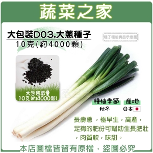 大包裝D03.大蔥種子10克(約4000顆)