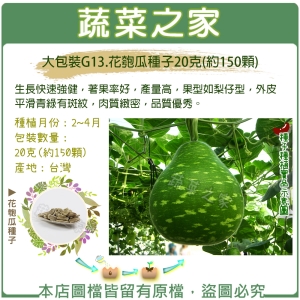 大包裝G13.花匏瓜種子20克(約150顆)