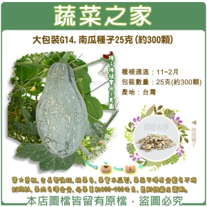 大包裝G14.南瓜種子25克(約300顆)