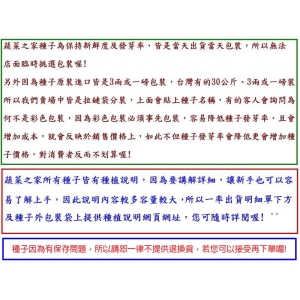 大包裝H33.康乃馨(混合色，高40~55cm)種子2.5克(約900顆)