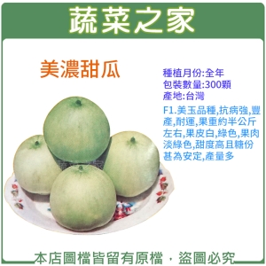 大包裝I03.美濃甜瓜種子300顆