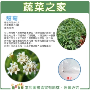 大包裝K18.甜菊種子30顆