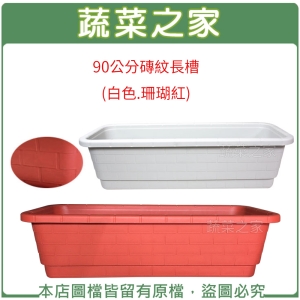 【蔬菜之家005-L301】90公分磚紋長槽(白色.珊瑚紅)