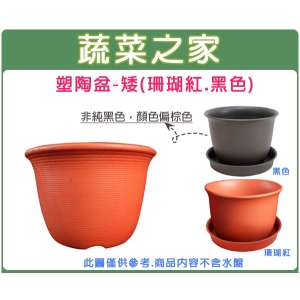 【蔬菜之家005-L059】塑陶盆10號-高 (珊瑚紅.黑色共2色)
