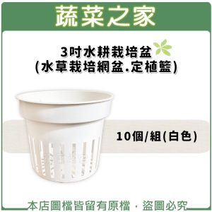 3吋水耕栽培盆(水草栽培網盆)10個/組(白色)