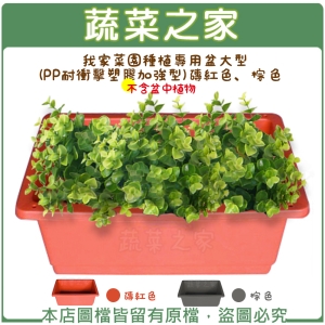 【蔬菜之家005-D45】我家菜園種植專用盆大型(磚紅色、棕色)