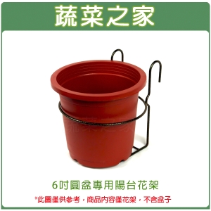 【蔬菜之家006-A28】6吋圓盆專用陽台花架