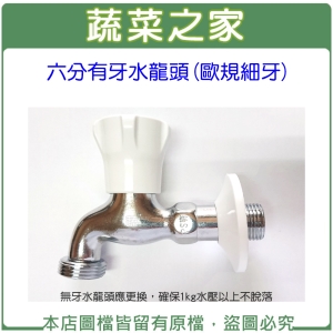 【蔬菜之家007-C27】六分有牙水龍頭(新款)(歐規細牙)(入水4分，出水6分)