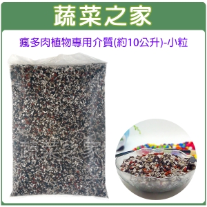 【蔬菜之家001-A157】瘋多肉植物專用介質(約10公升)-小粒