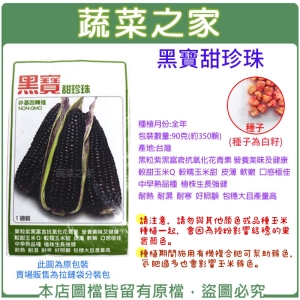 【蔬菜之家】大包裝00G26.黑寶甜珍珠糯玉米種子90克(約350顆)