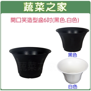【蔬菜之家005-D133】開口笑多肉專用造型盆6吋(黑色、白色共2色可選)