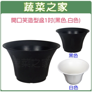 【蔬菜之家005-D134】開口笑多肉專用造型盆1尺(黑色、白色共2色可選)